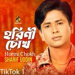 Horini Chokh 1 (Tiktok)
