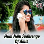 Hum Nehi Sudhrenge Dj Amit