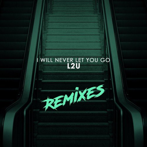 I Will Never Let You Go (Remixes)_poster_image