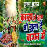 Kanha Ho Jhula To Jhula De Bagan Main