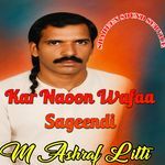 Kar Naoon Wafa Sageendi
