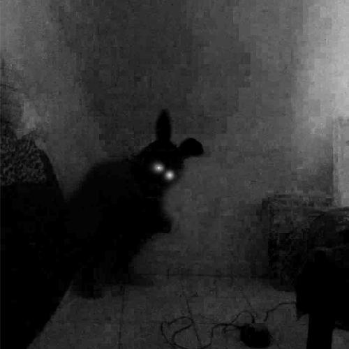 Klaus cover art