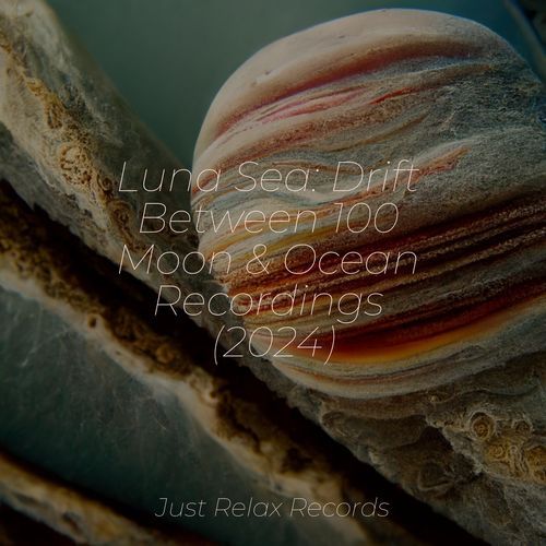 Luna Sea: Drift Between 100 Moon & Ocean Recordings (2024)