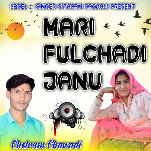 Mari Fulchadi Janu