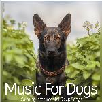 Music For Dogs: Calming Instrumental Sleep Songs