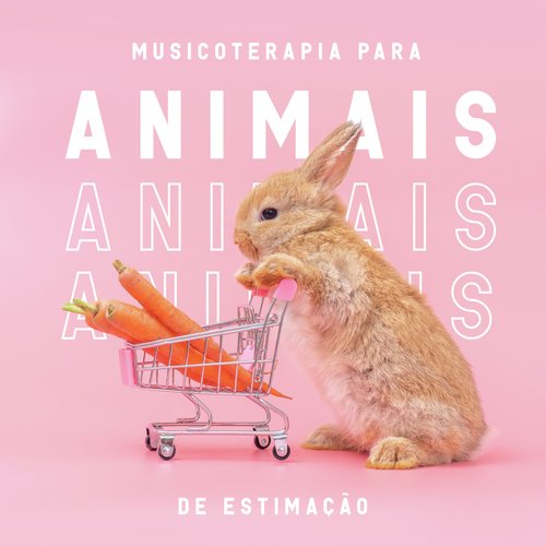 Sons para animais de estimação cover art