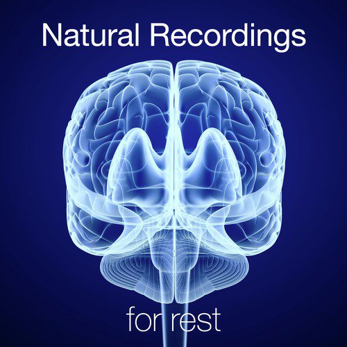 Natural Recordings for Rest