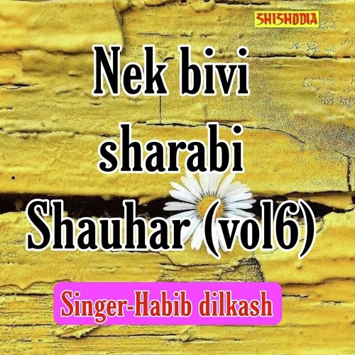 Nek bivi sharabi shauhar vol 06