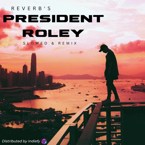 President Roley Slowed & Remix (Remix)