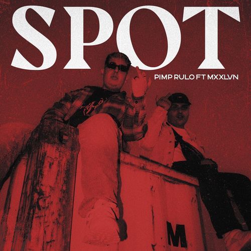 SPOT_poster_image