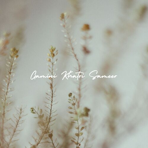 Sameer cover art