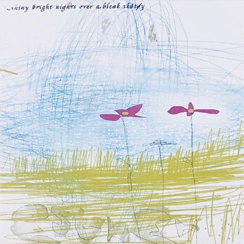 Shiny Bright Nights over a Bleak Skåtøy