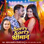 Sorry Sorry Shriman artwork