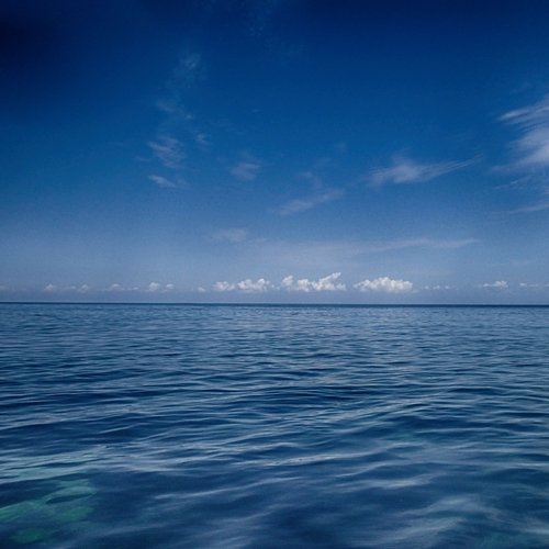 Sounds of Nature | Relax | a Soothing Music