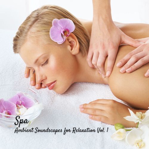 Spa: Ambient Soundscapes for Relaxation Vol. 1_poster_image