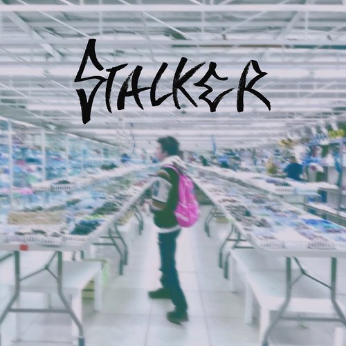 stalker cover art