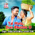 Tai Mola Jhan Bhulabe O