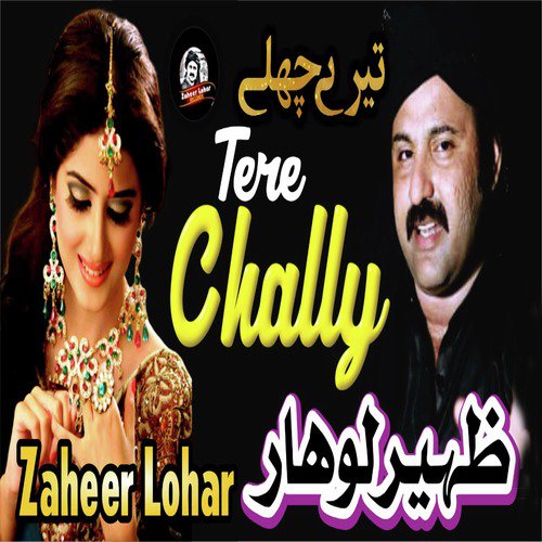 Tere Chally_poster_image