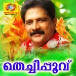 Thechipoovu