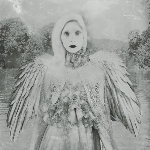 White Night cover art