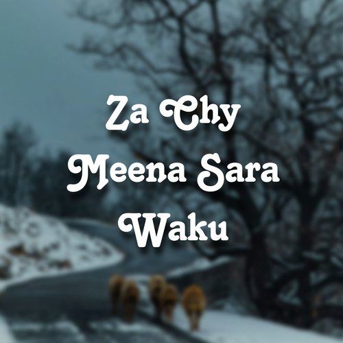 Za Chy Meena Sara Waku