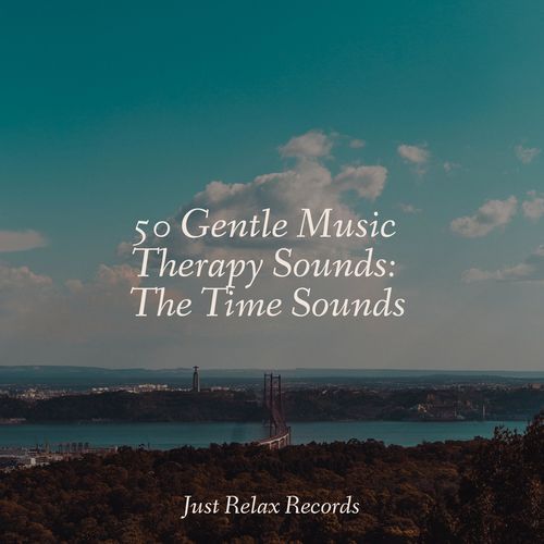 50 Gentle Music Therapy Sounds: The Time Sounds