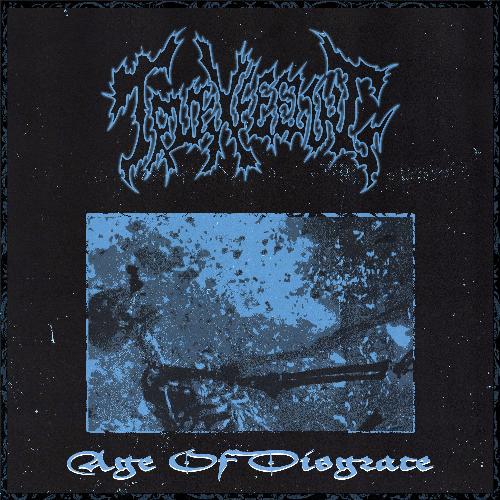 Age of Disgrace cover art