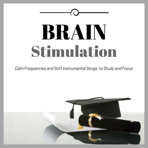 Brain Stimulation Playlist - Calm Frequencies and Soft Instrumental Songs to Study and Focus