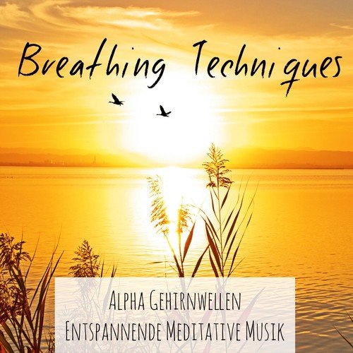 Breathing Techniques - Alpha Gehirnwellen Entspannende Meditative Musik für Reiki Behandlung Achtsamkeitsmeditation mit New Age Heilung Instrumental Geräusche
