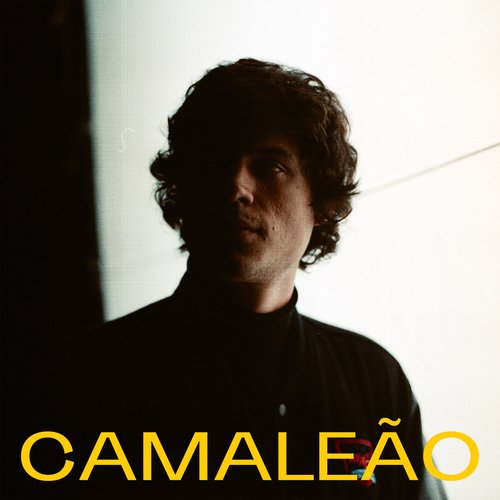 Camaleão_poster_image