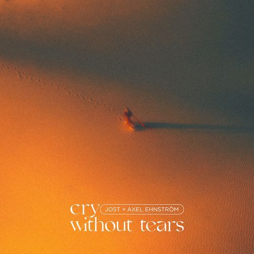 Cry Without Tears_poster_image