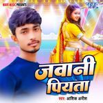 Jawani Piyata