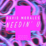 Needin' U (Original Mistake Radio Edit)