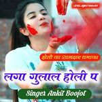 लगा गुलाल होली प
