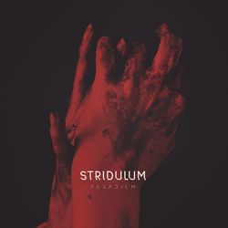 Debris by Stridulum