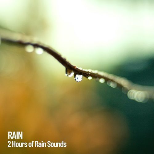 Rain: 2 Hours of Rain Sounds cover art
