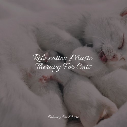 Meditating Music cover art