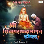 Shri Shivapradhakshamapan Stotram