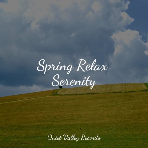 Meditating Music cover art