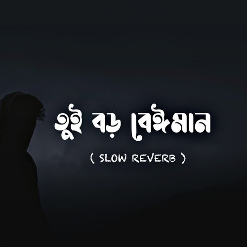 Tui Boro Beiman (Slow Reverb)