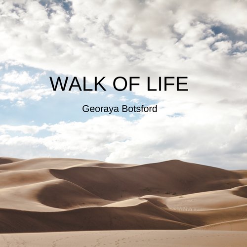 WALK OF LIFE_poster_image