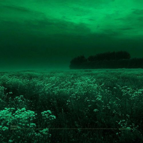 flowers (ambient version slowed)
