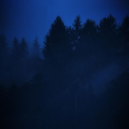 sometimes, I just want peace