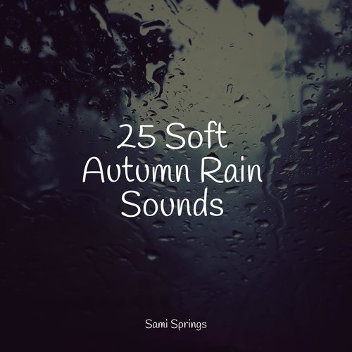 25 Soft Autumn Rain Sounds