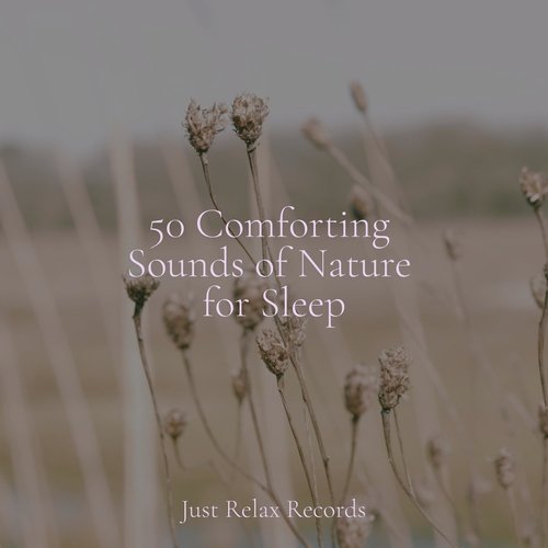 50 Comforting Sounds of Nature for Sleep