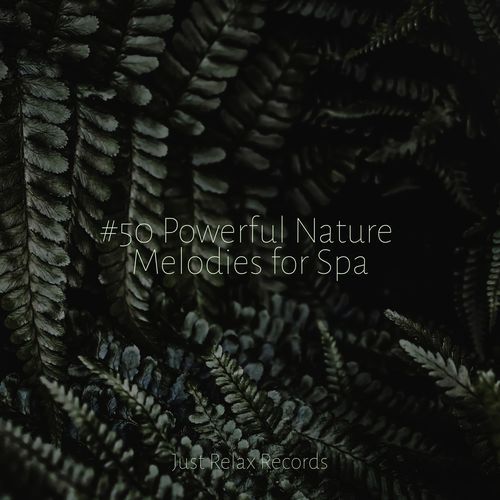 #50 Powerful Nature Melodies for Spa