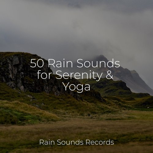 Urban Rainfall cover art