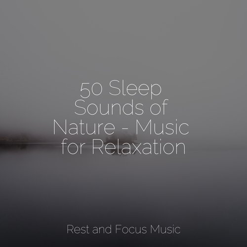 50 Sleep Sounds of Nature - Music for Relaxation