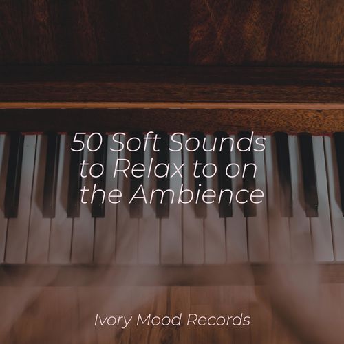 50 Soft Sounds to Relax to on the Ambience_poster_image