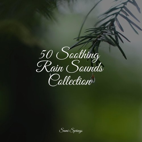 50 Soothing Rain Sounds Collection_poster_image